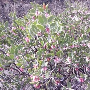 Meet your Posher, Chloe